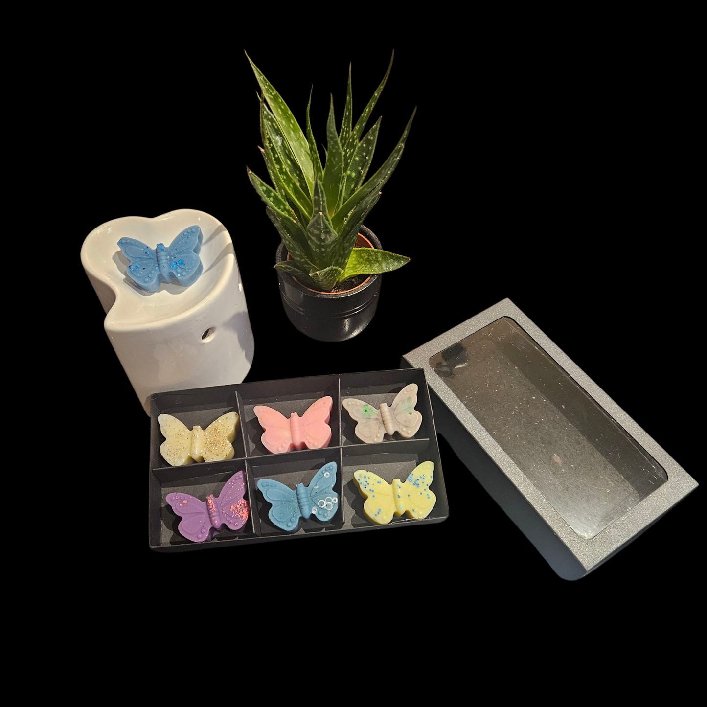 Small Butterfly Giftbox