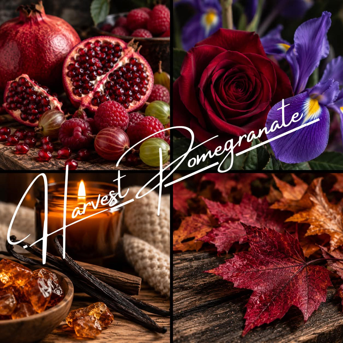 Harvest Pomegranate