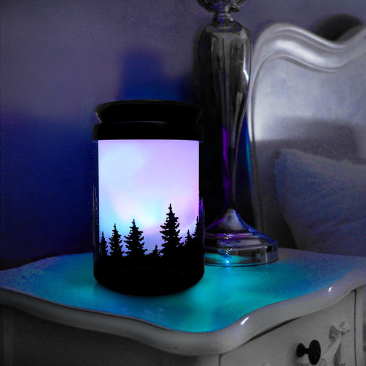 Northern Lights Electric Burner