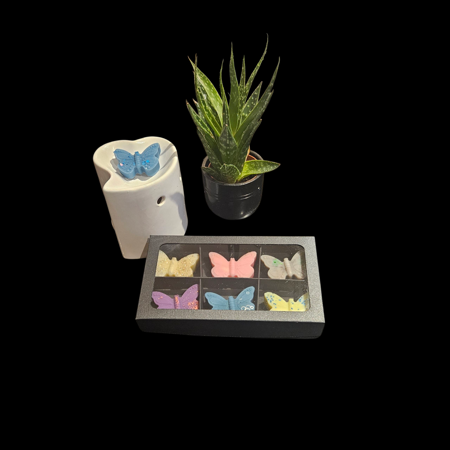 Small Butterfly Giftbox
