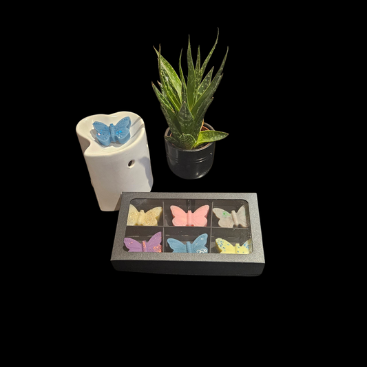 Small Butterfly Giftbox