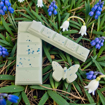 Spring Is In The Air