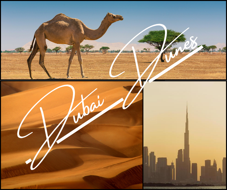 Dubai Dunes